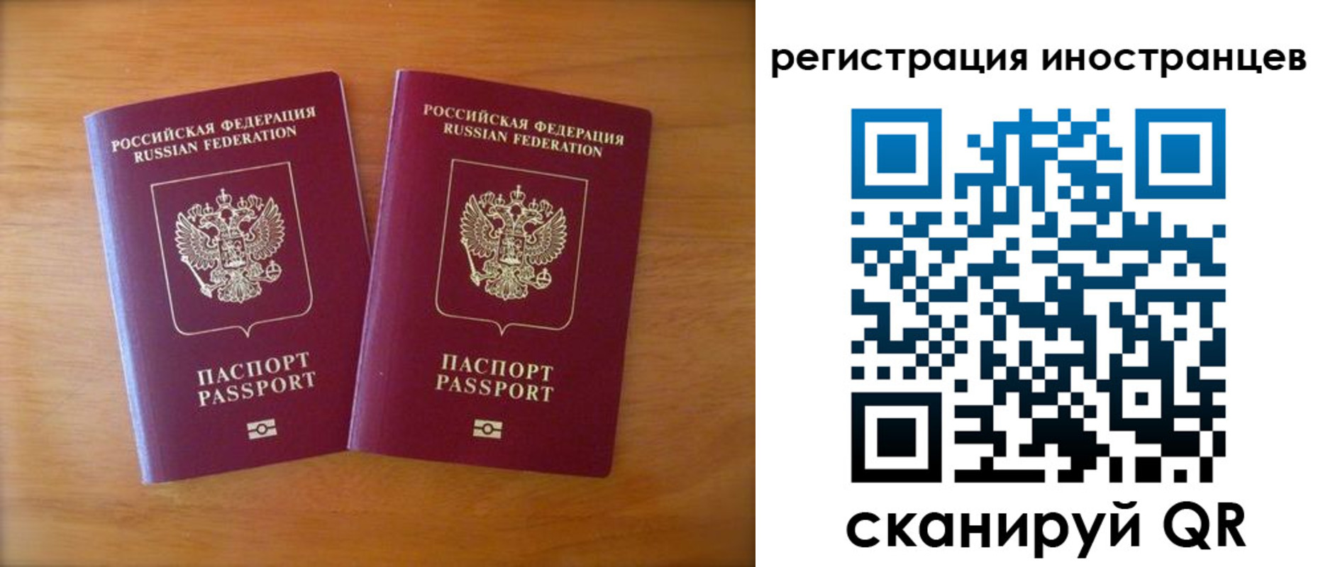 прописка поиск в Щёкино
